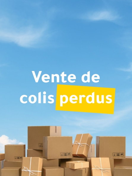 découvrez comment acheter des colis perdus en toute sécurité. profitez de lots surprenants à petits prix, astuces d'achat et meilleures plateformes pour trouver des colis non réclamés.