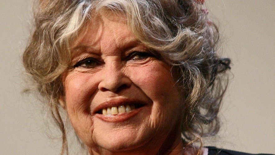 découvrez les dernières nouvelles rassurantes sur la santé de brigitte bardot, icône du cinéma français, qui donne de ses nouvelles après les récentes préoccupations du public.