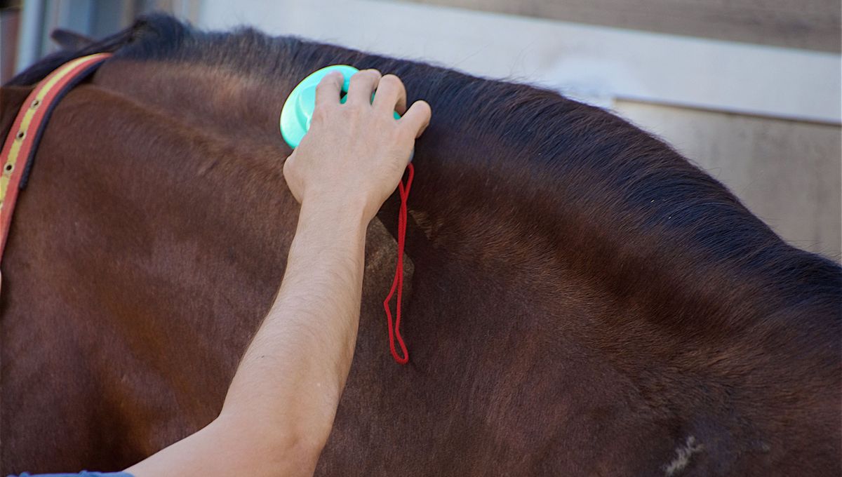 découvrez comment les femmes font face à la diffamation sur les réseaux sociaux, les enjeux de justice et les moyens de se défendre contre les attaques en ligne.