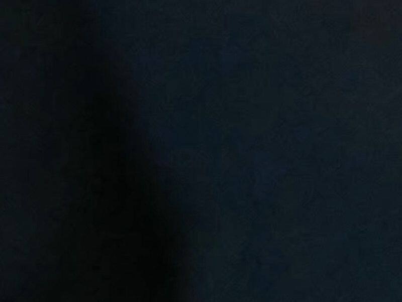 découvrez l'histoire du petit-fils de kennedy, candidat au congrès, et son engagement politique pour l'avenir de l'amérique.