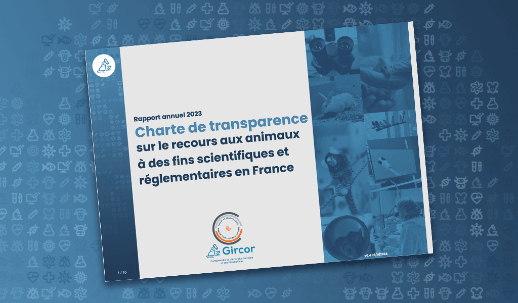 découvrez comment repérer et comprendre les vidéos trompeuses d’animaux sur les réseaux sociaux pour ne plus vous faire avoir par des contenus manipulés.